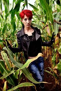 Gagged in the cornfield