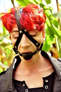 Gagged in the cornfield