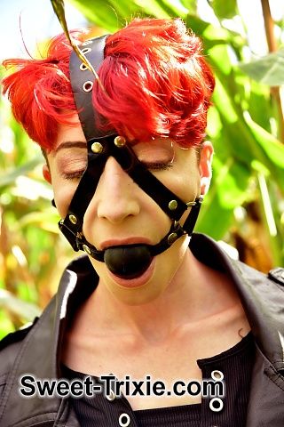 Gagged in the cornfield